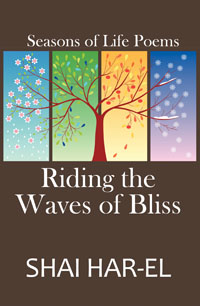 Riding the Waves of Bliss front cover