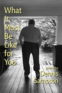 What It Must Be Like for You front cover